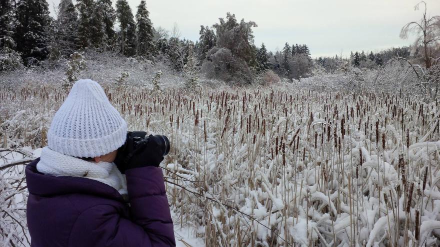 Woman in winter attire photographing a snowy marsh landscape.
