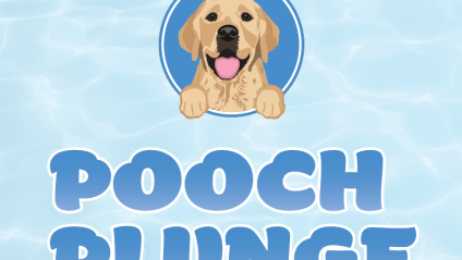 Golden retriever logo above "Pooch Plunge" text on blue water background.