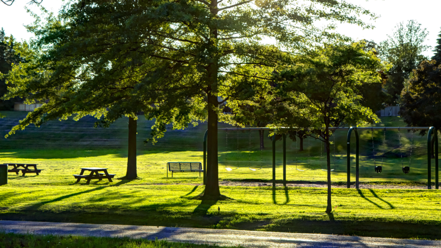 Sunny grassy park with trees benches and a swing set