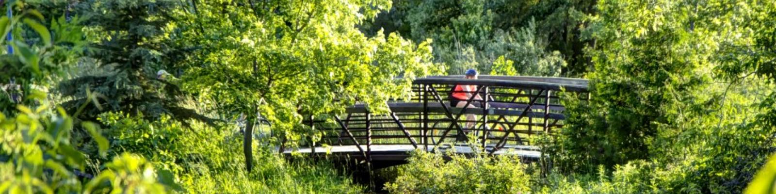 Cyclist on Bridge