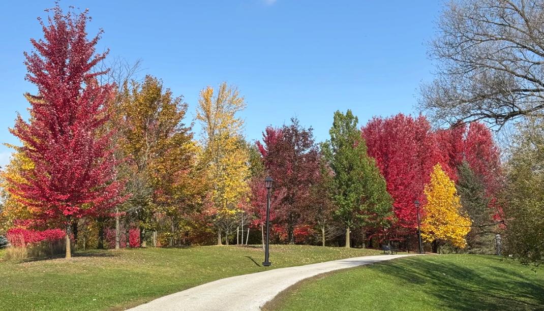 Fall Tom Taylor Trail